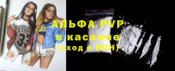 индика Белоозёрский