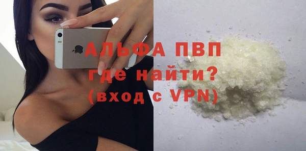 индика Белоозёрский